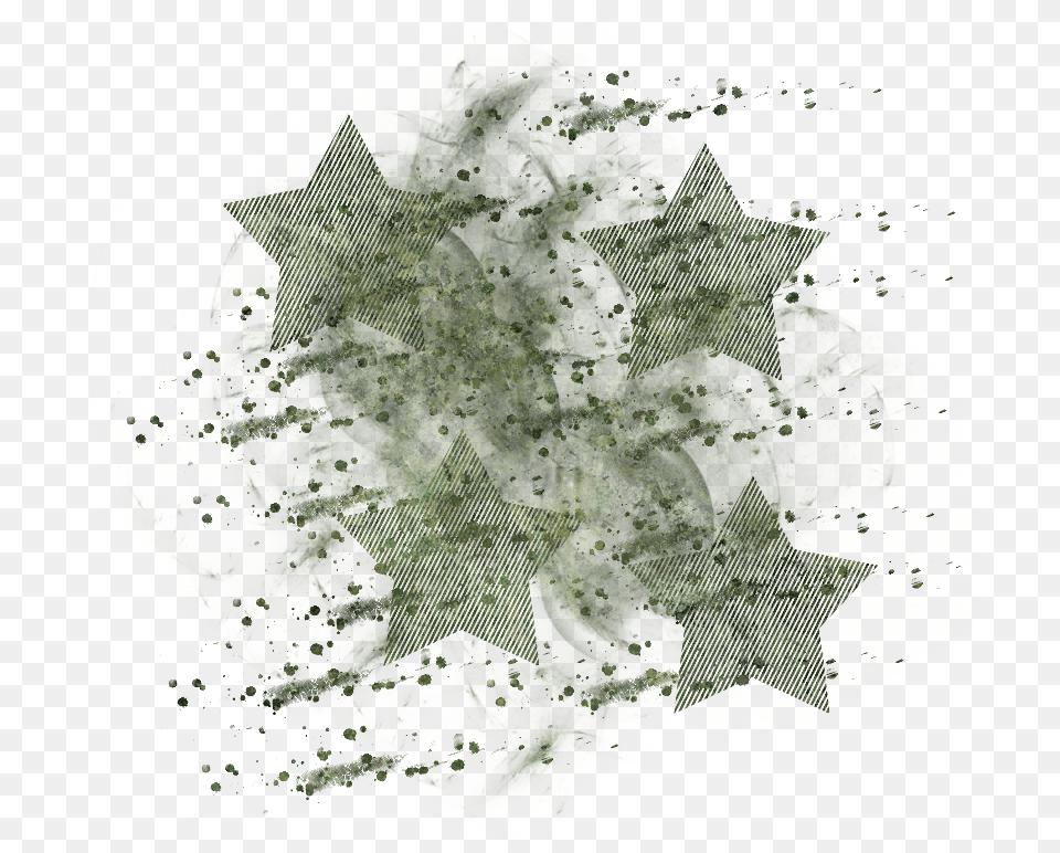 Masked Texture 800 X Gato Negro Edgar Allan Poe, Plant, Land, Nature, Outdoors Free Transparent Png