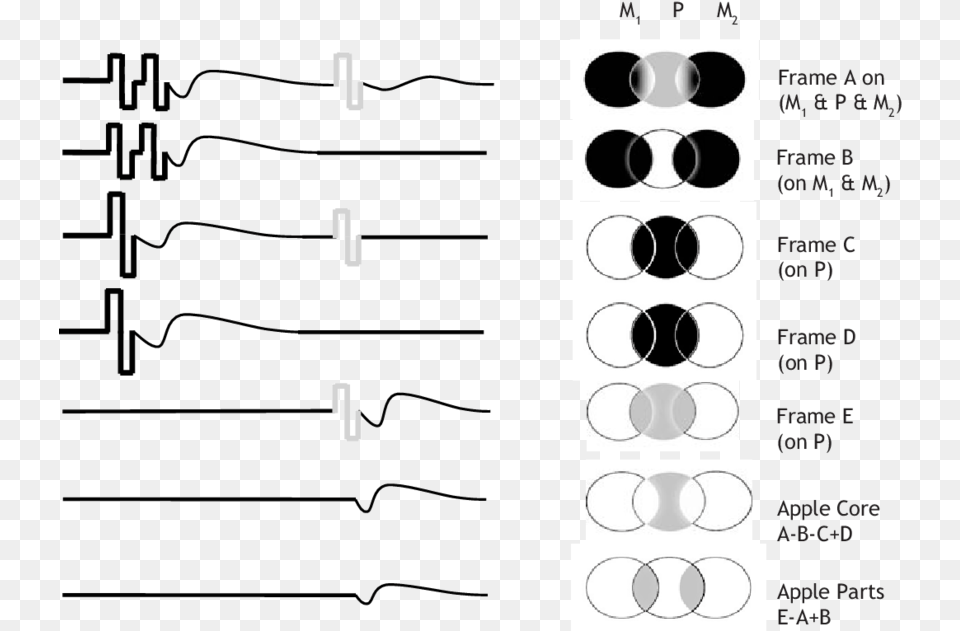 Masker Probe 5 Frame Apple Core Drawing, Cutlery, Chart, Plot, Fork Png