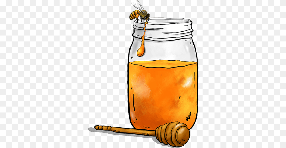 Mason Jar Clipart Honey Mason Jar Of Honey Clipart, Food, Animal, Bee, Honey Bee Png