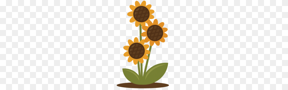 Mason Jar Clipart Tree, Flower, Plant, Daisy, Sunflower Png