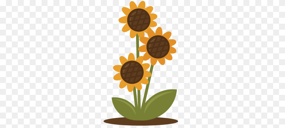 Mason Jar Sunflower Clipart Movieweb, Daisy, Flower, Plant, Ammunition Free Transparent Png