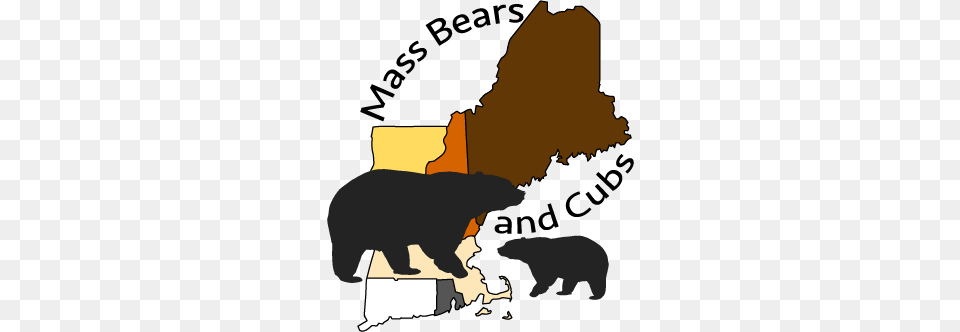 Mass Bears And Cubs, Animal, Bear, Mammal, Wildlife Free Png