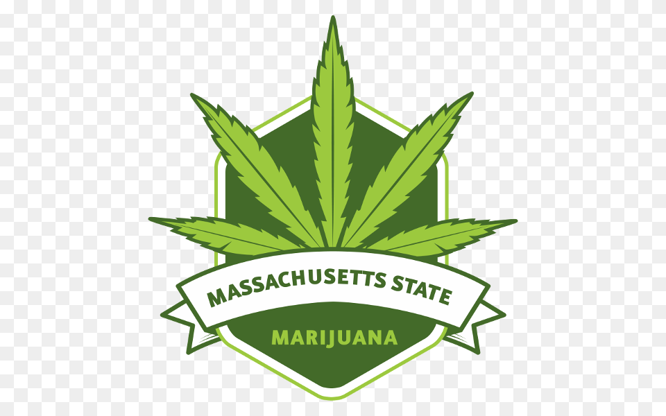 Mass State Marijuana, Plant, Weed, Leaf, Hemp Png Image