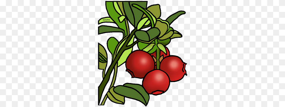 Massachusetts Clip Art, Conifer, Food, Fruit, Plant Png Image