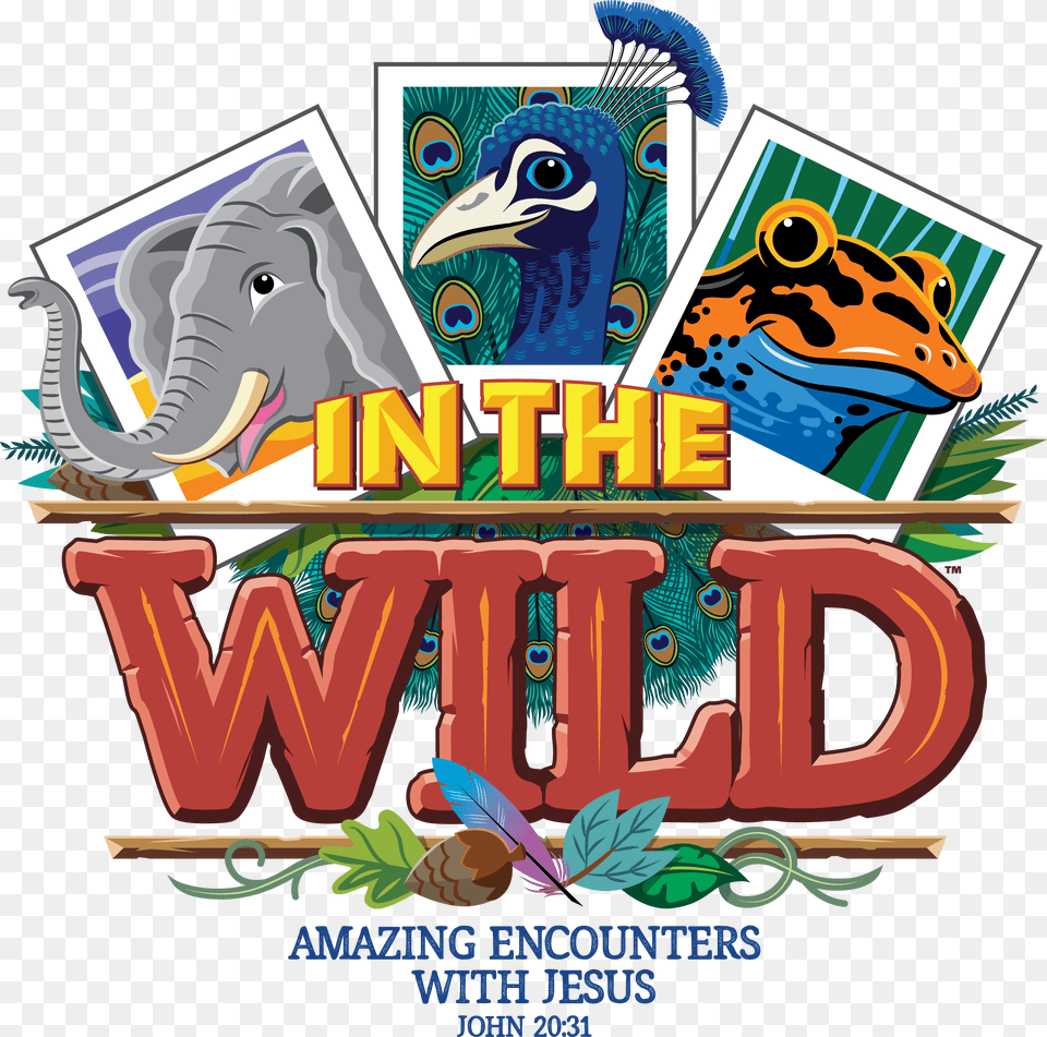 Master English Im The Wild Vbs, Advertisement, Poster, Animal, Bird Free Transparent Png