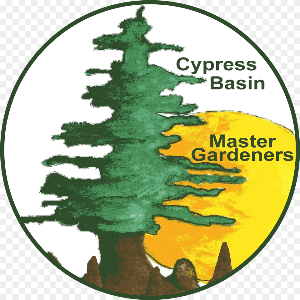 Master Gardener Program, Tree, Plant, Pine, Person Free Png Download
