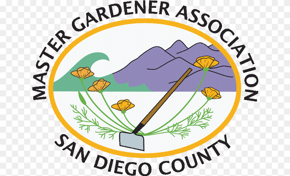 Master Gardeners, Flower, Plant, Photography, Outdoors Png