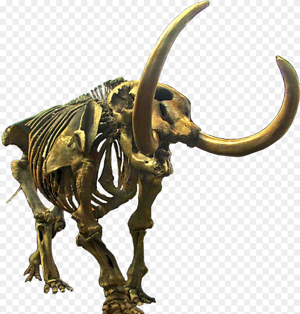 Mastodon Clean Mastodon, Animal, Dinosaur, Reptile, Skeleton Free Png Download