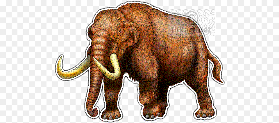 Mastodon Line Art Mastodon Drawing, Animal, Elephant, Mammal, Wildlife Png