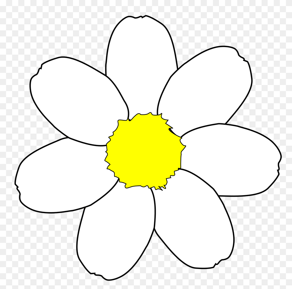 Mat Clip Art Black And White, Anemone, Daisy, Plant, Flower Free Png