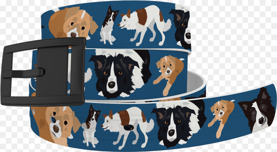 Matching Border Collie Belt C4 Belts, Accessories, Animal, Canine, Dog Free Transparent Png