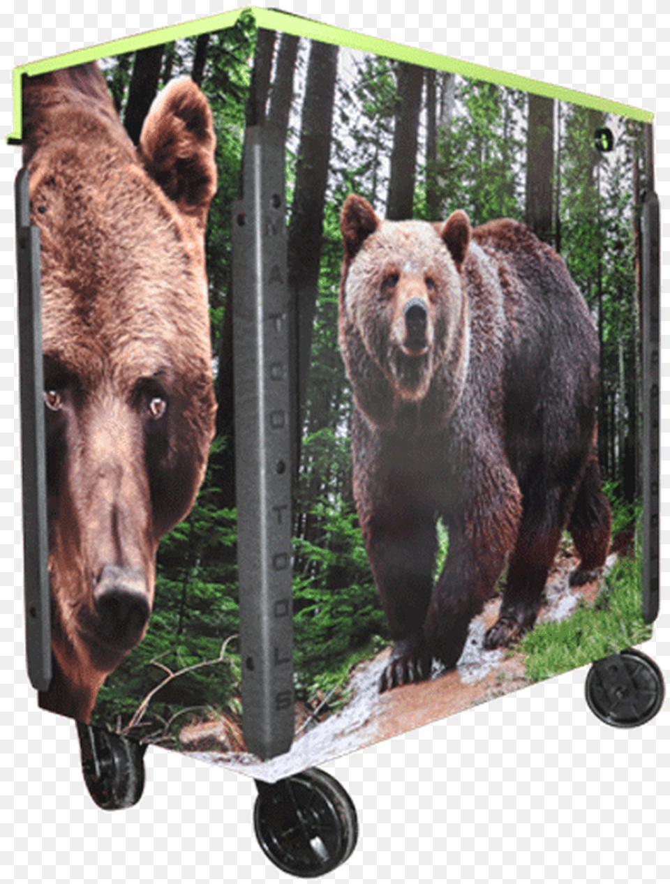 Matco Tool Box Wrap For Tools Grizzly Bear, Animal, Mammal, Wildlife, Brown Bear Free Png Download