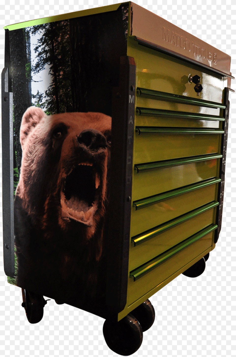 Matco Tool Box Wrap For Tools Machine, Animal, Bear, Mammal, Wildlife Free Transparent Png