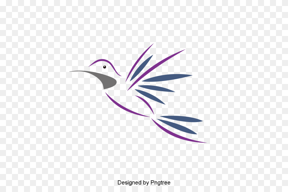 Material Creativo Para El Colorido De Volando En El Aire, Animal, Bird, Hummingbird Png Image