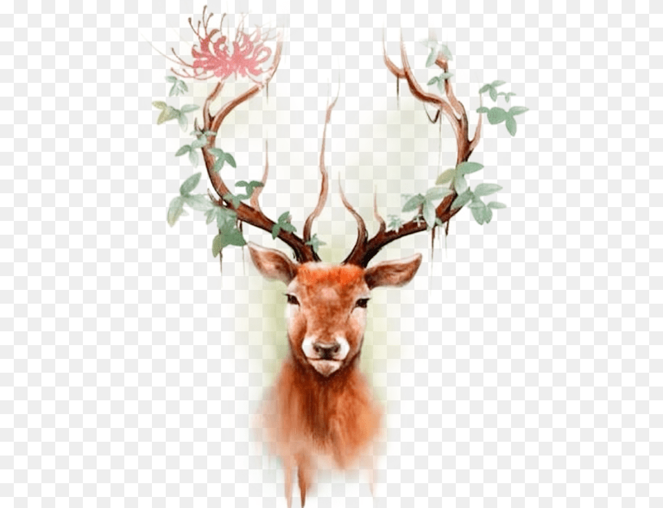 Material Deer Tattoo Designs For Women, Animal, Mammal, Wildlife, Elk Png Image