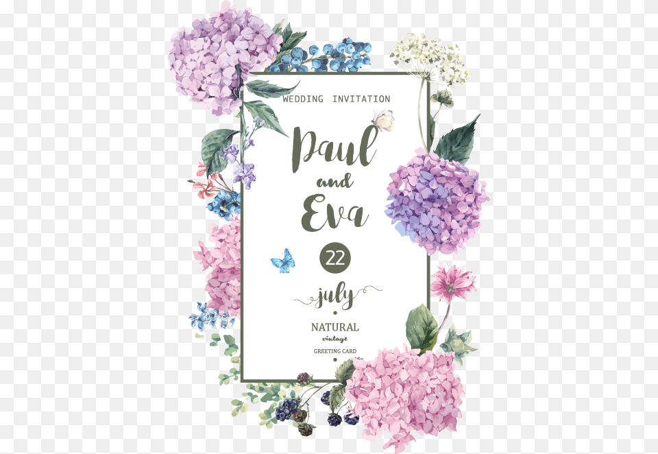 Material Flower Hydrangea Wedding Illustration Vector Watercolor Flowers Vector, Plant, Lilac Free Transparent Png