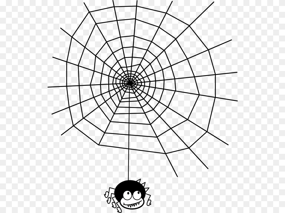 Maths In Spider Webs Free Png Download