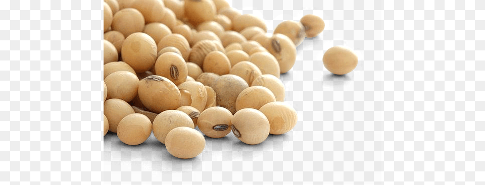 Mato Grosso Leads Push For Gm Soy Granos De Soya, Bean, Food, Plant, Produce Png Image