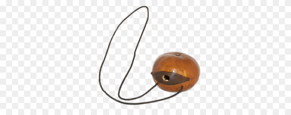 Matofono Argentina, Accessories, Food, Gourd, Plant Free Transparent Png