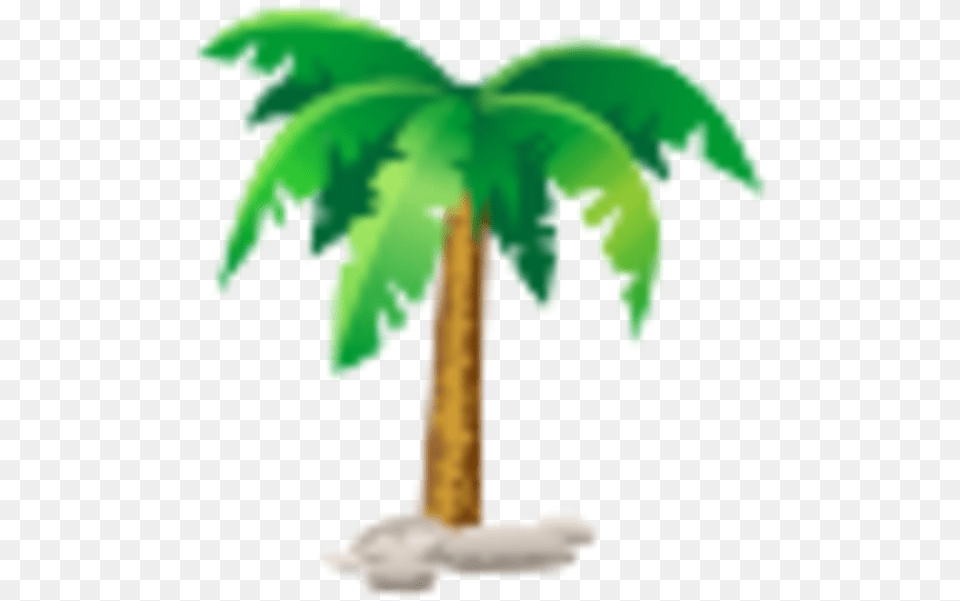 Matrace Zumba Kokos 160x200 Cm, Palm Tree, Plant, Tree Free Transparent Png