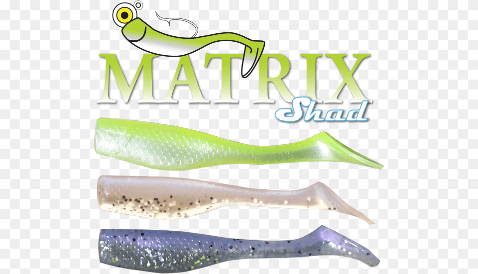 Matrix Shad, Fishing Lure Png