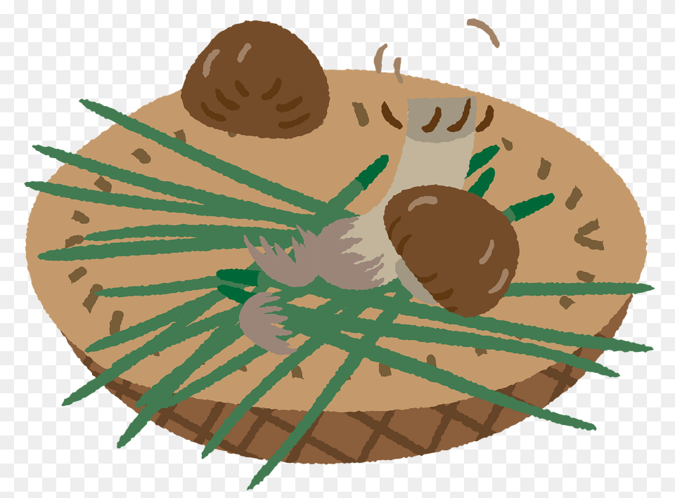 Matsutake Mushroom Clipart, Food, Produce, Fruit, Plant Png