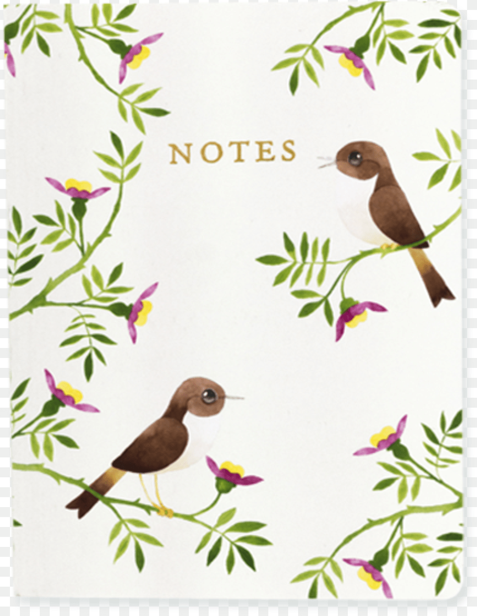 Matt Sewells Birds A6 Notebook Finch, Animal, Bird, Plant, Art Free Transparent Png