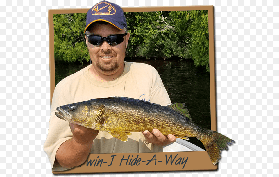 Mattagami Lake Amp Minisinakwa River Walleye Fishing Walleye Fishing, Accessories, Sea Life, Sunglasses, Fish Free Png