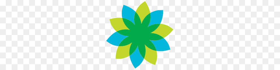 Maui Bus, Leaf, Art, Floral Design, Graphics Png