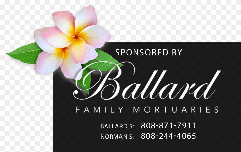 Maui Obituaries Now News U0026 Information For Party, Advertisement, Flower, Petal, Plant Free Transparent Png