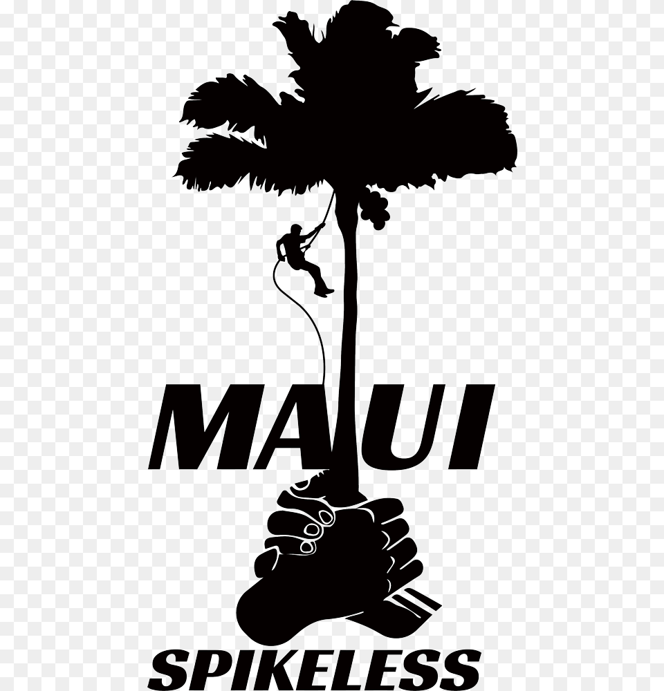 Maui Spikeless Logo Of A Coconut Palm And Maui Palm Tree And Palm Trimming Silhouette, Stencil, Adult, Male, Man Free Transparent Png