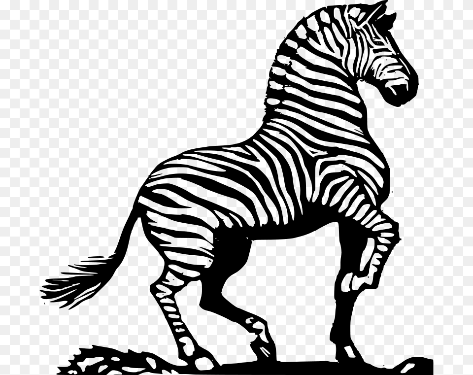 Maven Wood Cut Zebra, Gray Png Image