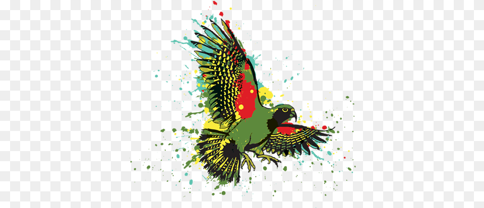 Maverick Bird Logos Maverick Digital Logo, Animal, Beak, Pattern, Flying Png Image