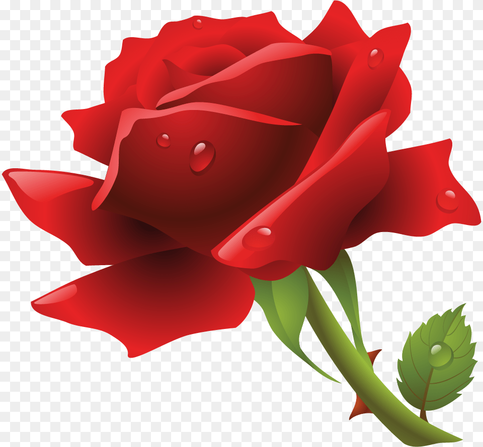 Mawar Kuning, Flower, Plant, Rose, Animal Png Image