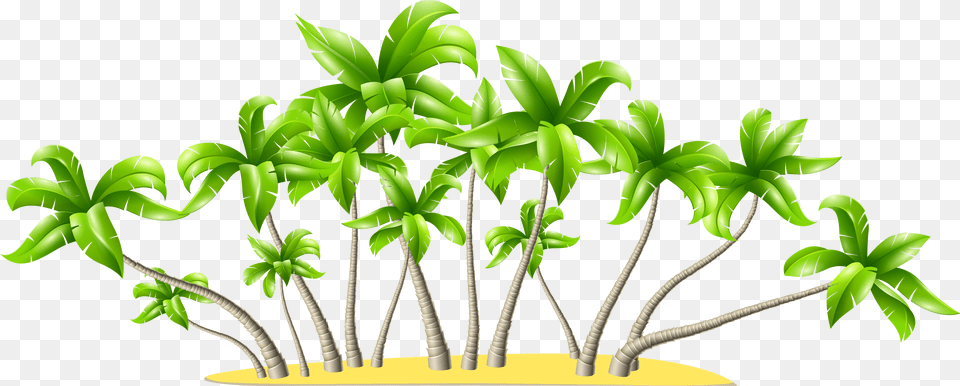 Max Format V66 Photo The Beach Pool Palm Trees Trees Clip Art Free Png