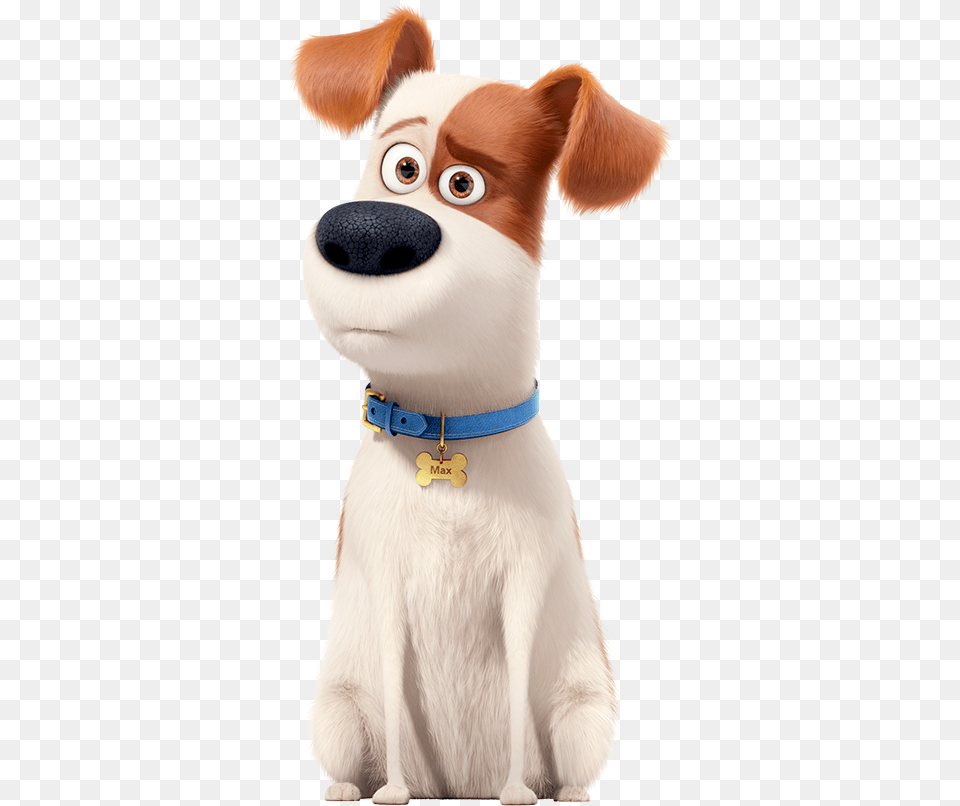 Max From Secret Life Of Pets, Accessories, Toy, Animal, Pet Png