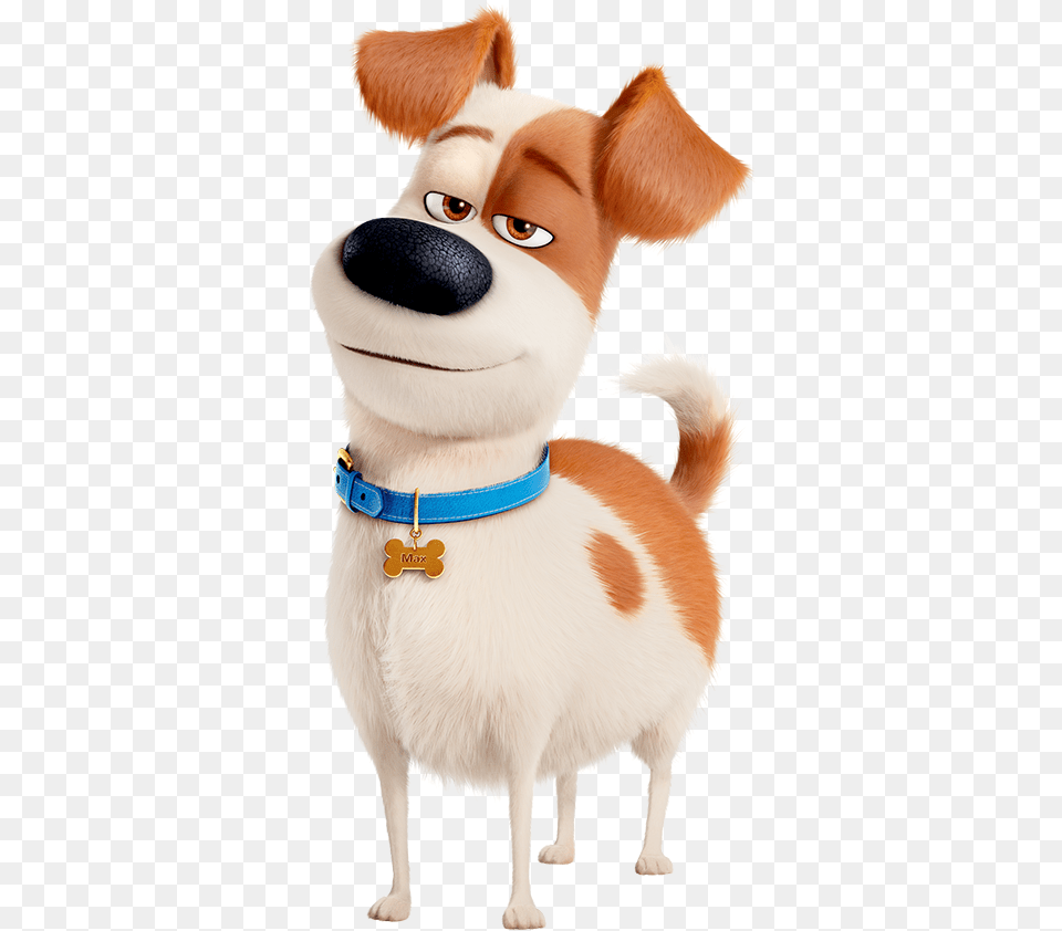 Max Secret Life Of Pets, Accessories, Animal, Canine, Dog Free Png