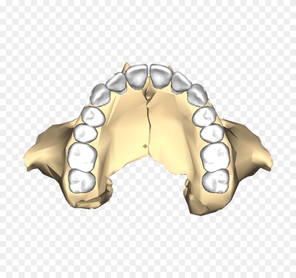 Maxilla Inferior, Body Part, Face, Head, Mouth Png Image