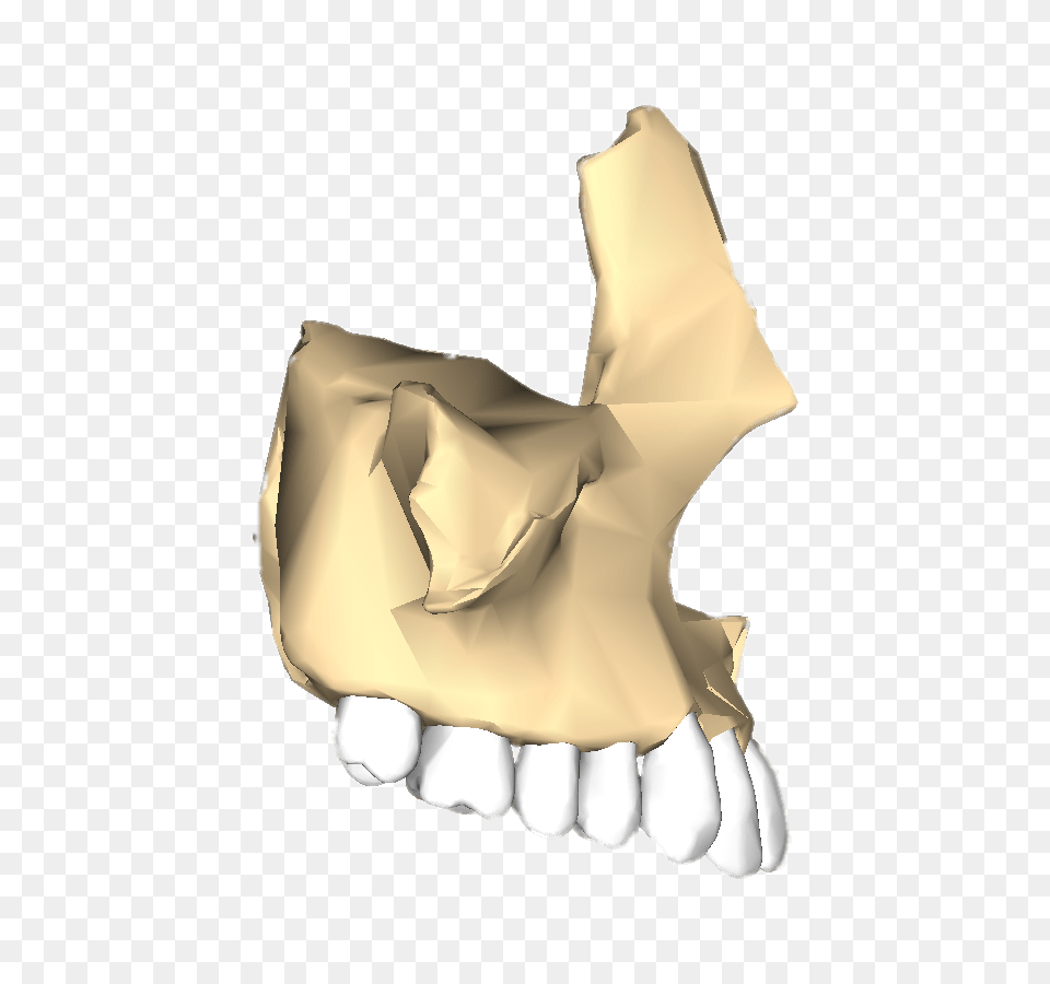 Maxilla Lateral, Diaper Png Image