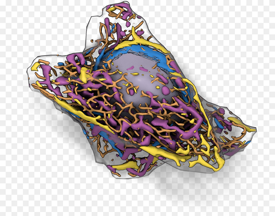May Allen Integrated Cell, Pattern, Purple, Accessories, Fractal Png