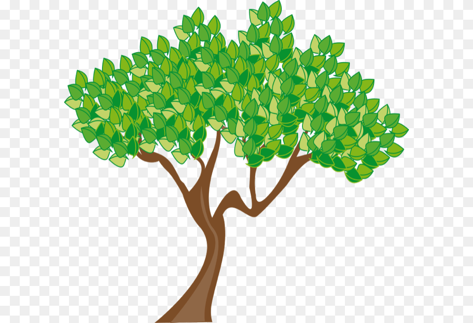 May Art Clip, Oak, Plant, Sycamore, Tree Png