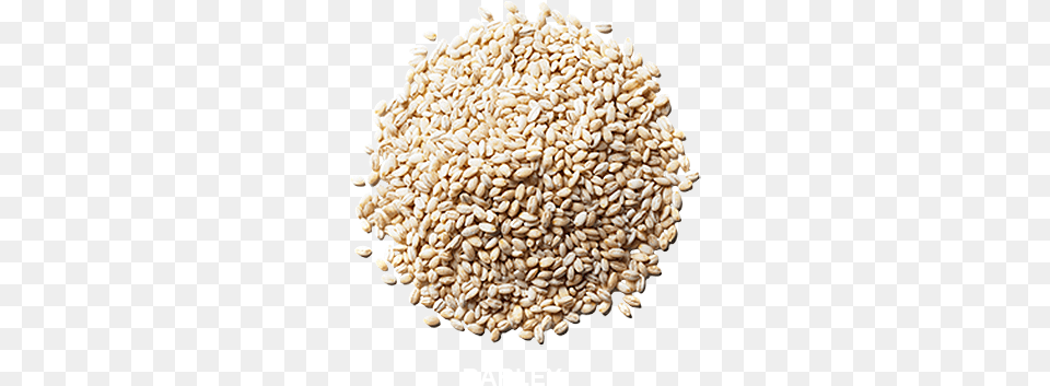 May Barley Barley, Food, Seasoning, Sesame, Chandelier Free Png