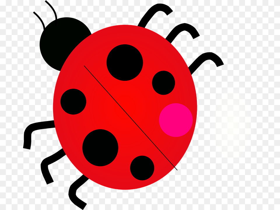 May Beetles Clip Art Lady Bug, Sphere Free Png Download