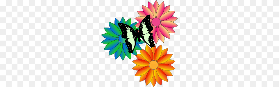 May Clip Art Pictures, Dahlia, Flower, Plant, Daisy Png Image