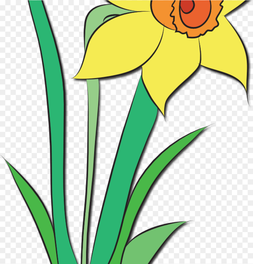 May Flowers Clip Art May Flowers Clip Art April Showers, Daffodil, Flower, Plant, Person Png