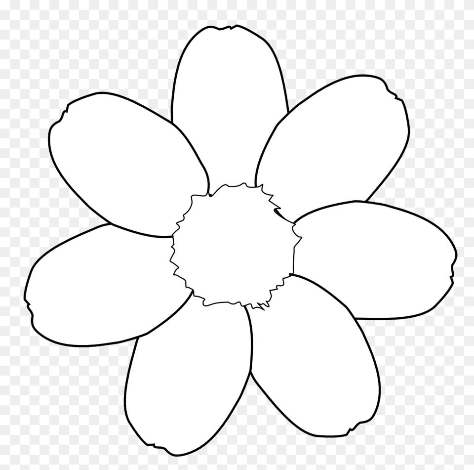 May Flowers Clipart Black And White, Anemone, Daisy, Flower, Petal Png Image