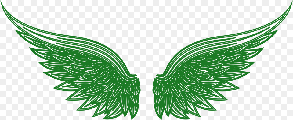 May St Through Th Angel Of The Illustration, Green, Leaf, Plant Png