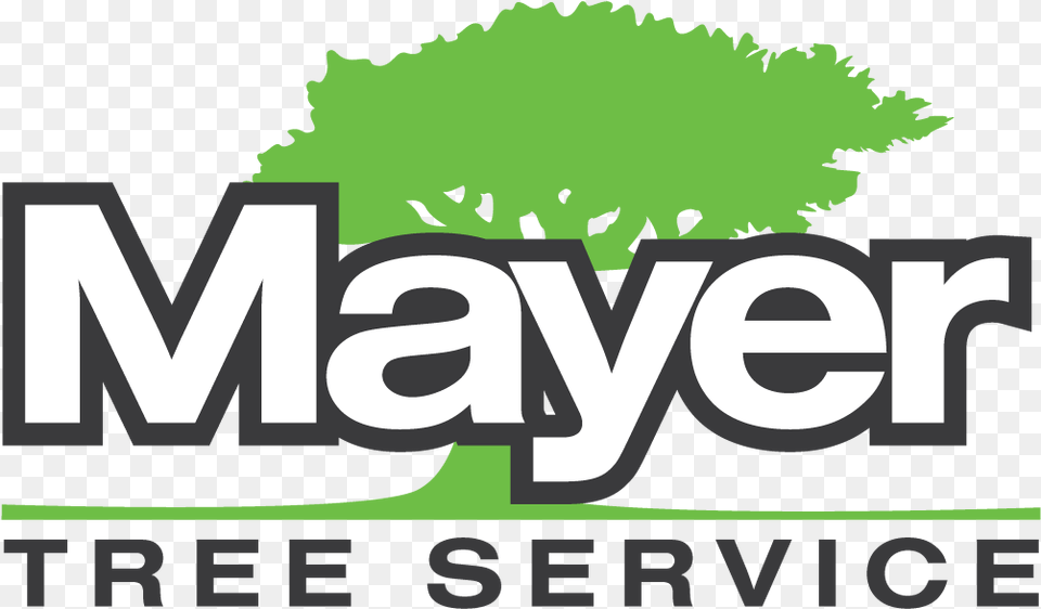 Mayer Kelly Services, Grass, Green, Plant, Vegetation Free Png
