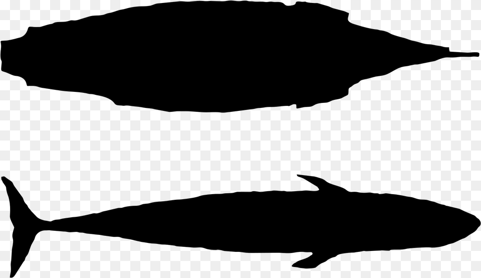 Mayflower Blue Whale Size, Gray Free Png Download