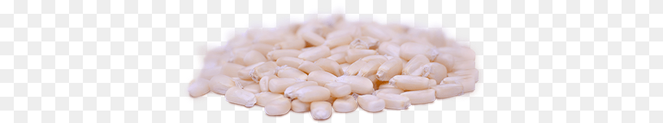 Maz Blanco Grano De Maiz Blanco, Food, Produce, Medication, Pill Png
